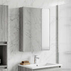 Badkamer spiegelkast 43x11,5x60,5 cm grijs