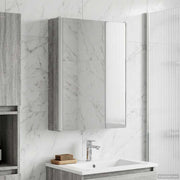 Badkamer spiegelkast 43x11,5x60,5 cm grijs