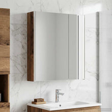 Badkamer spiegelkast Oudhout 63,5 x 15,5 x 70 cm Bewerkt hout