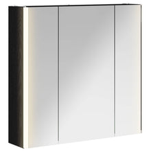 Badkamer spiegelkast Zwart Eiken 63,5 x 15,5 x 60,5 cm