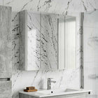Bathroom mirror cabinet Concrete Grey 63.5 x 15.5 x 60.5 cm