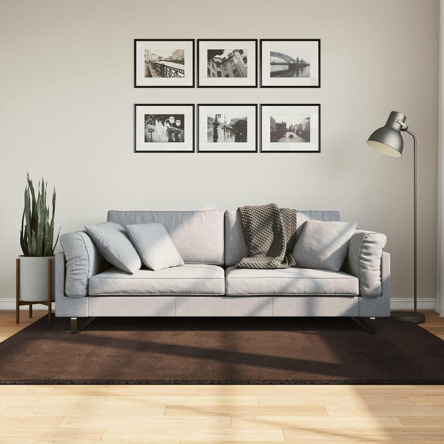 Vloerkleden Rechthoekig HUARTE Bruin 200 x 140 cm
