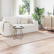 Vloerkleed 170x120 cm polyester beige