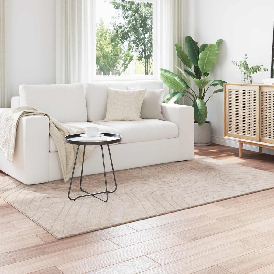 Vloerkleden Rechthoekig HUARTE Beige 170 x 120 cm Polyester
