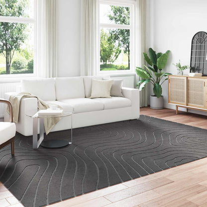 Vloerkleden Rechthoekig Antraciet 280 x 200 cm