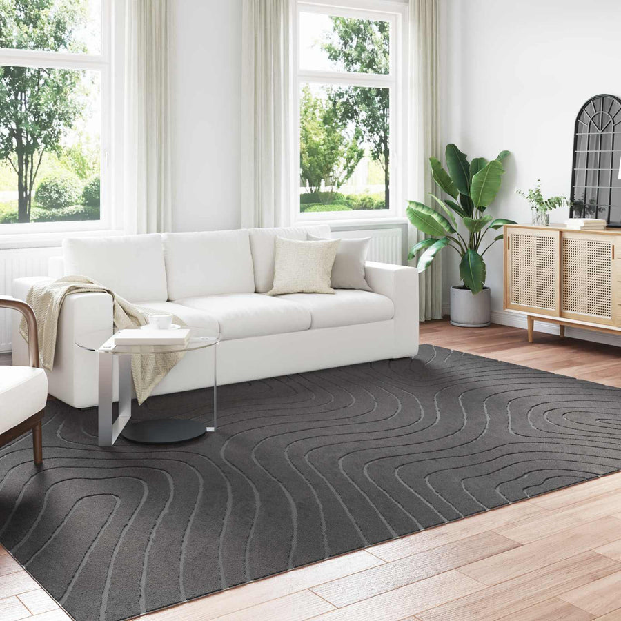 Vloerkleden Rechthoekig Antraciet 280 x 200 cm
