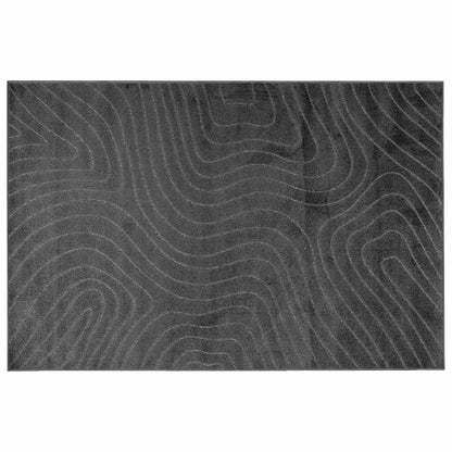 Vloerkleden Rechthoekig Antraciet 280 x 200 cm