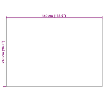 Vloerkleden Rechthoekig Crème en Taupe 340 x 240 cm