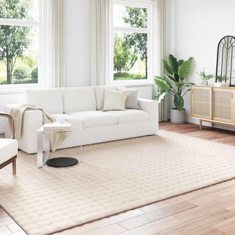 Vloerkleden Rechthoekig Beige 280 x 200 cm