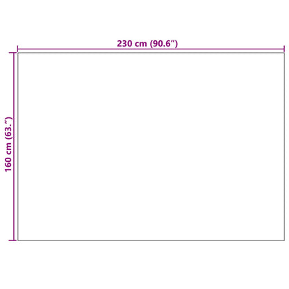 Vloerkleden Rechthoekig Zand 230 x 160 cm