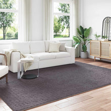 Vloerkleden Rechthoekig Antraciet 280 x 200 cm