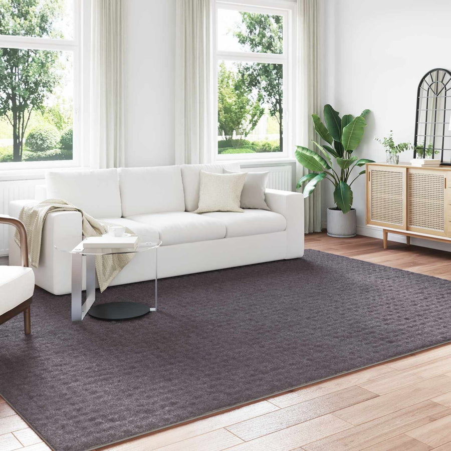 Vloerkleden Rechthoekig Antraciet 280 x 200 cm