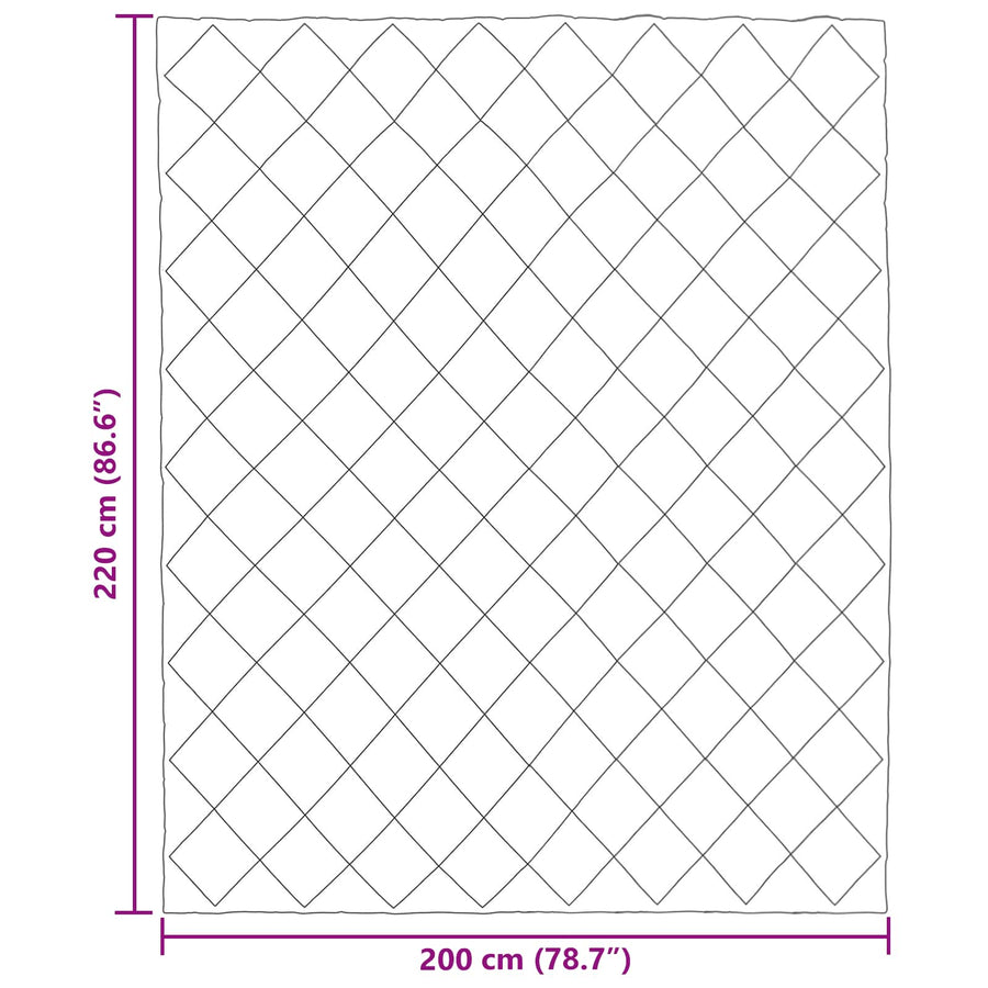 Zomer Dekbed Zwart en Anthraciet 220 x 200 cm Microfiber
