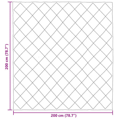 Vol jaar dekbed Antraciet 200 x 200 cm Microfiber