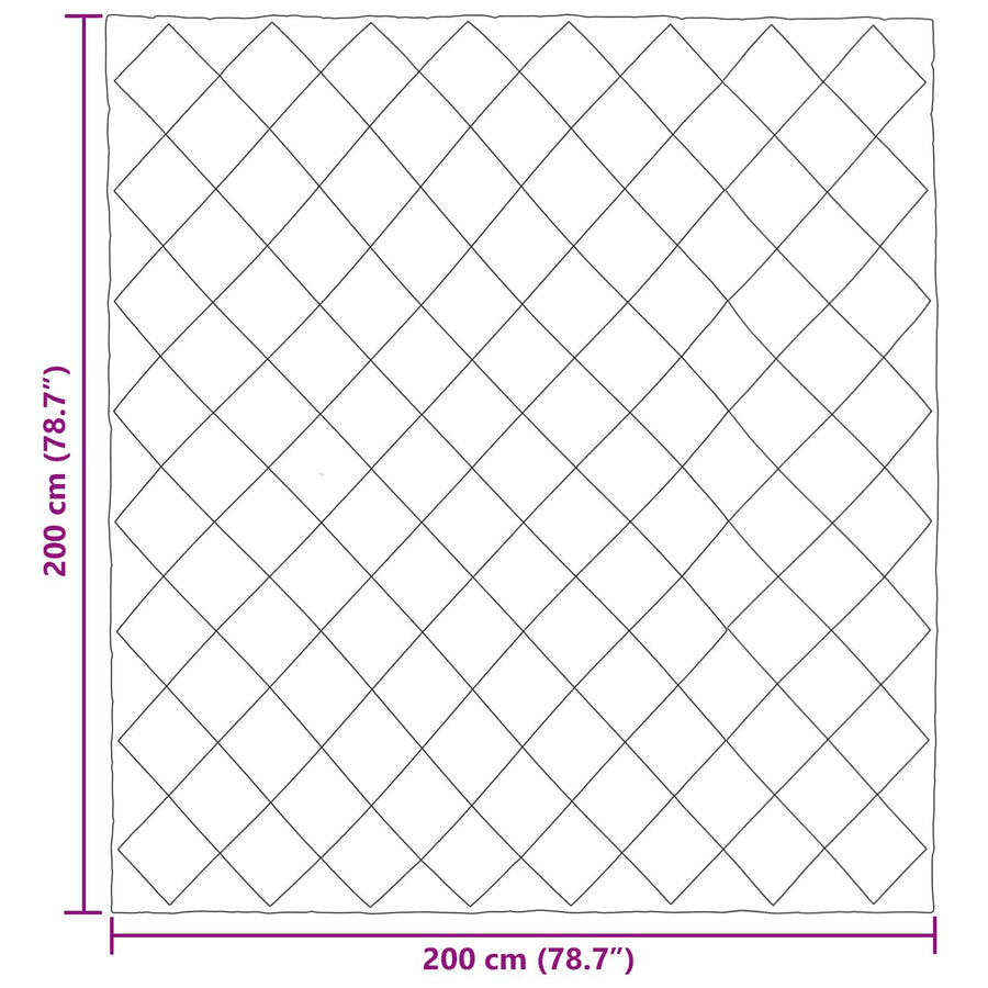 Winter Dekbed Zwart en Taupe 200 x 200 cm Microfiber