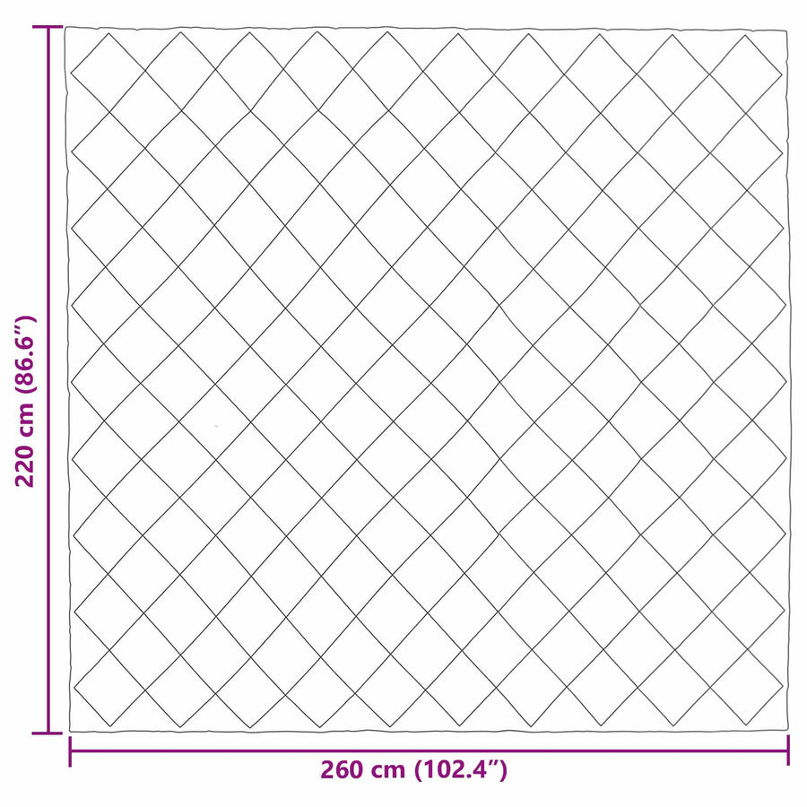 Winter Dekbed Zwart en Taupe 220 x 260 cm Microfiber