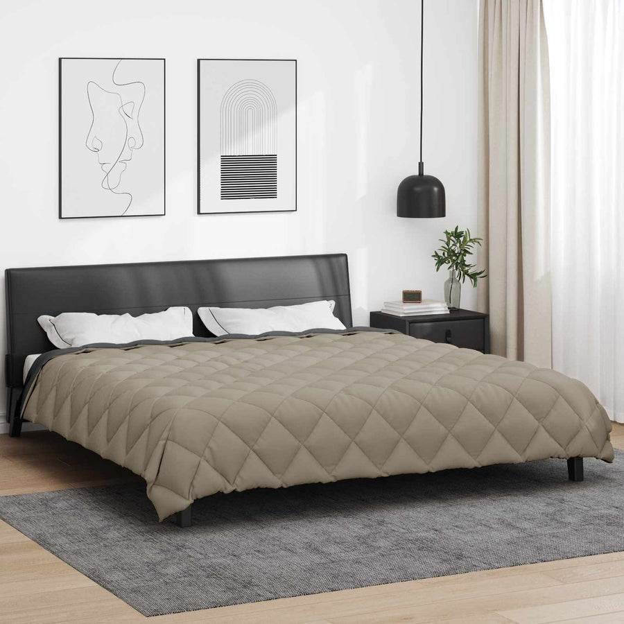 Winter Dekbed Lichtgrijs en Antraciet 240 x 260 cm Microfiber