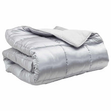Winter Dekbed Zilver 200 x 155 cm Satijn en Microfiber