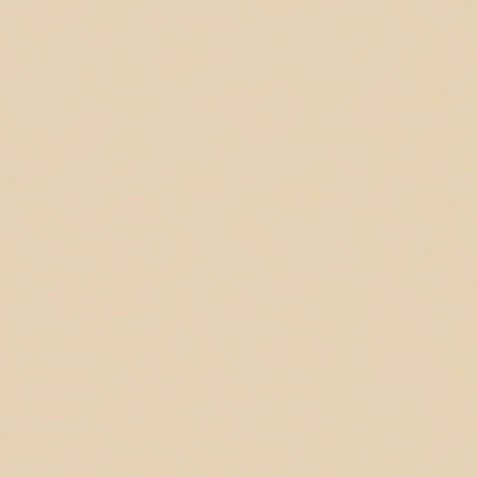 Plantenbak Ivoor 195 x 100 x 45 cm Gegalvaniseerd staal