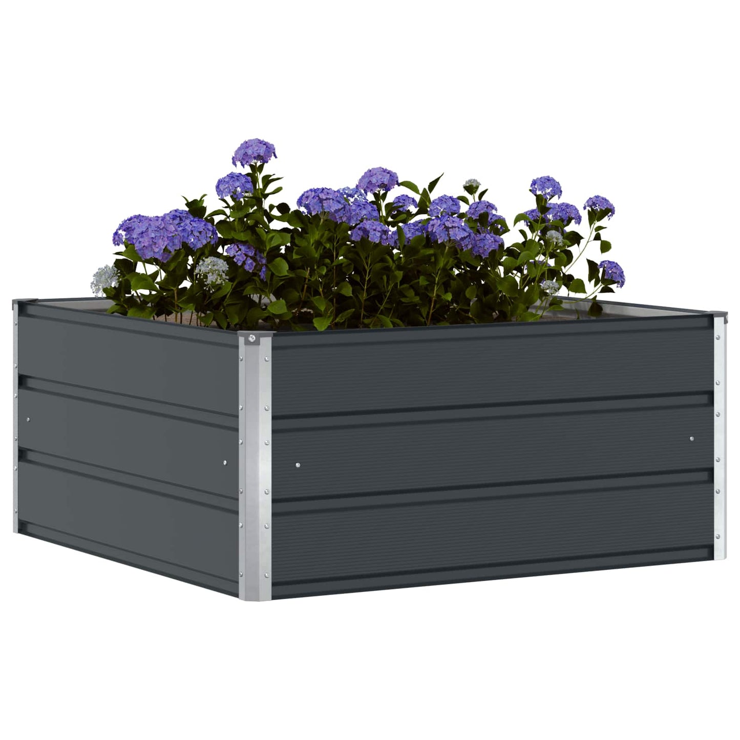 Plantenbak Antraciet 100 x 100 x 45 cm Staal