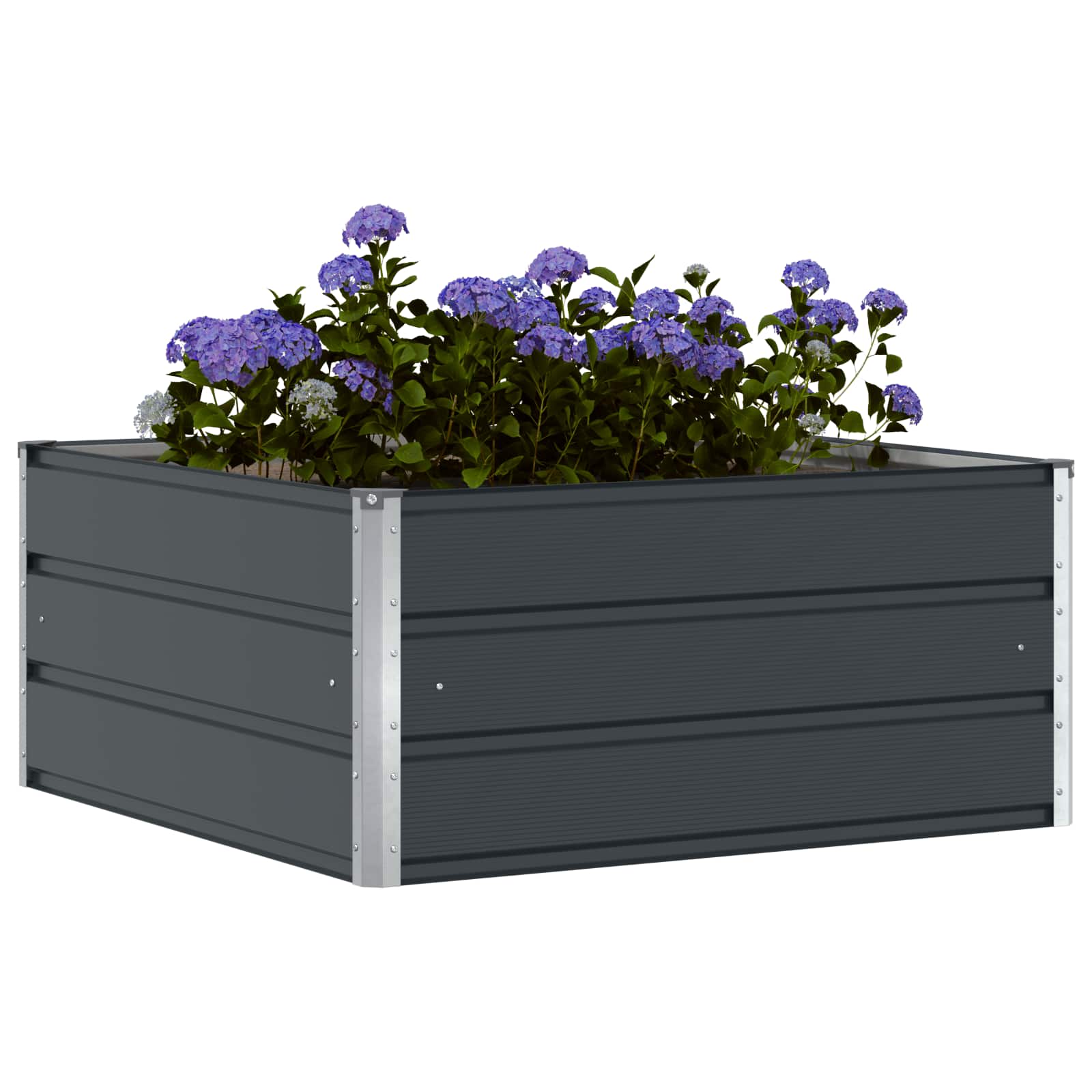 Plantenbak Antraciet 100 x 100 x 45 cm Staal