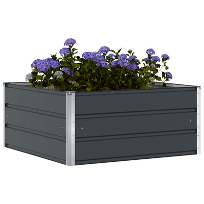 Plantenbak Antraciet 100 x 100 x 45 cm Staal