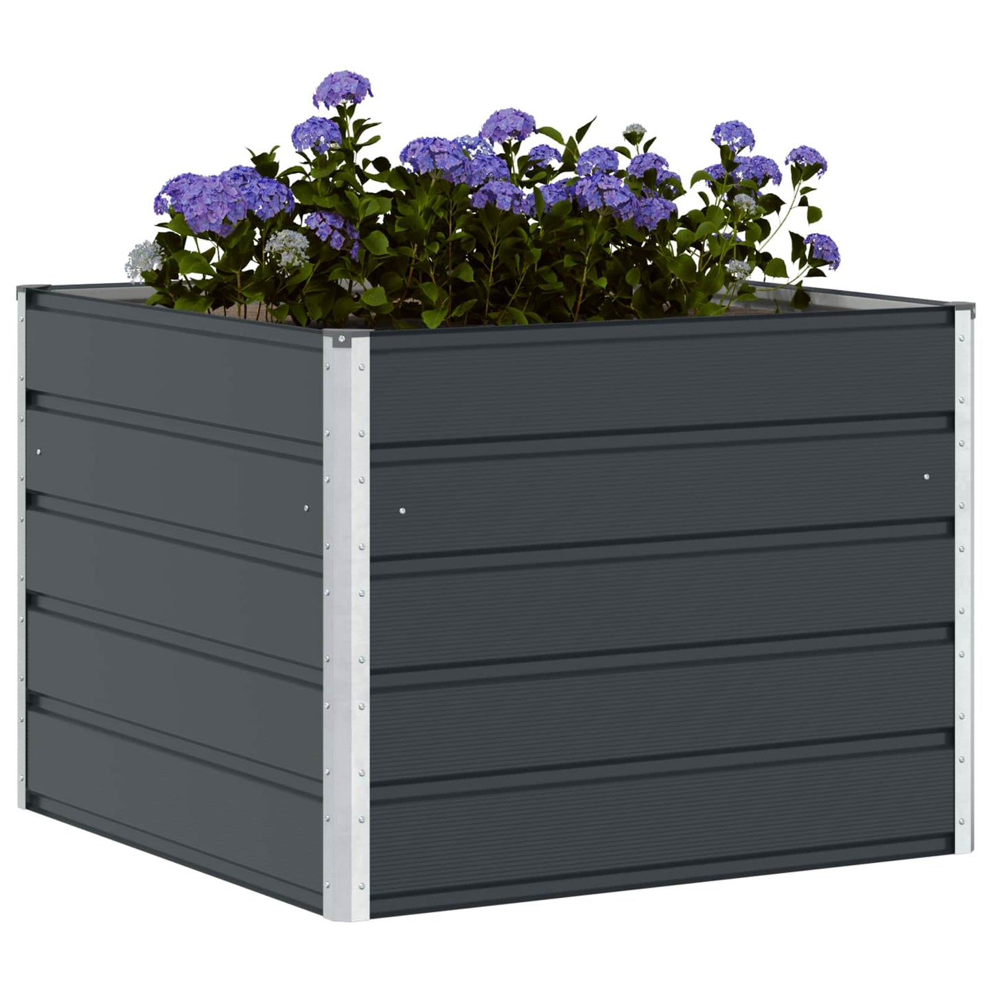 Plantenbak Antraciet 100 x 100 x 75 cm Staal