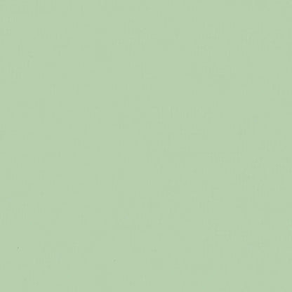 Plantenbak Pastelgroen 195 x 100 x 45 cm Gegalvaniseerd staal
