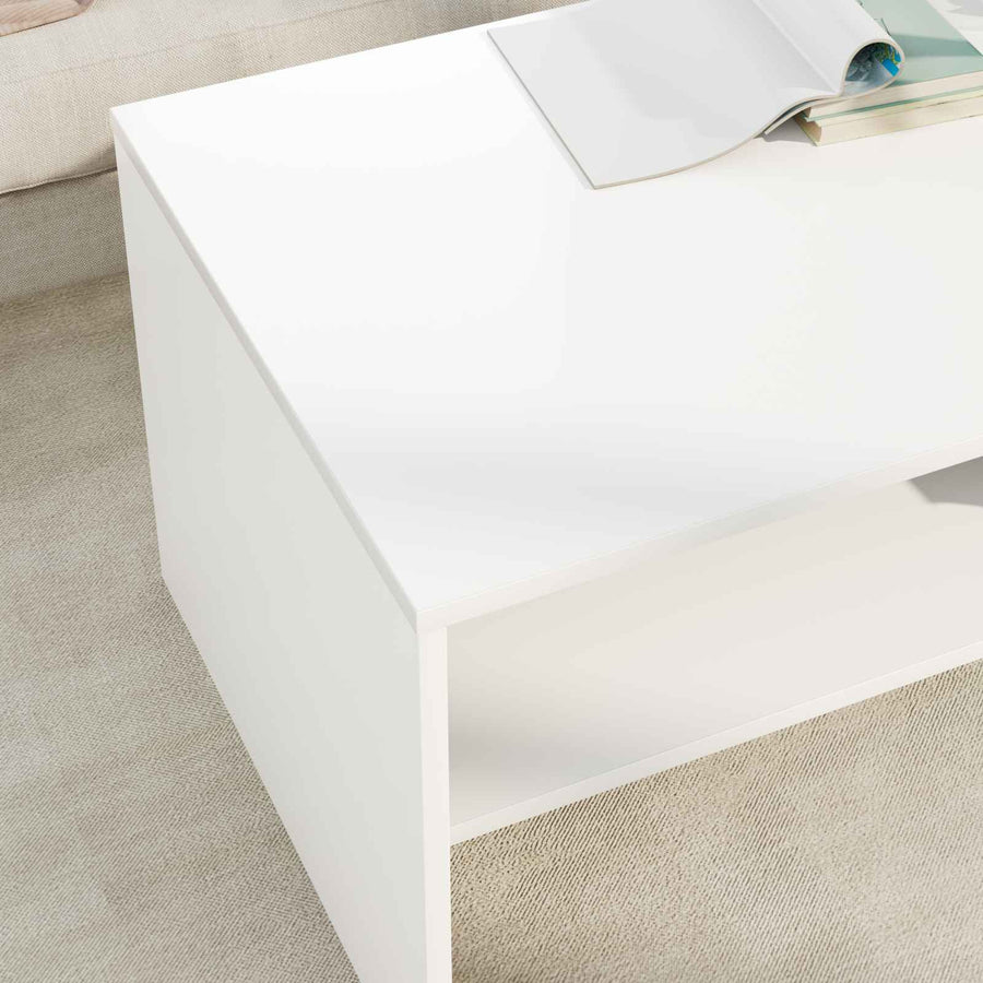 Salontafel Wit 100 x 50 x 40 cm Bewerkt hout