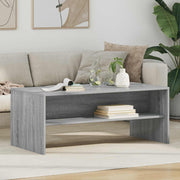Salontafel grijs Sonoma 100x50x40 cm bewerkt hout