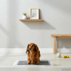 Non-woven fabric pet training pad 200 pcs 45 x 33 cm