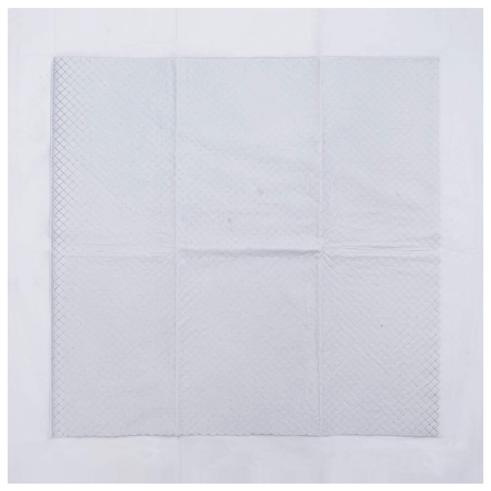 Trainingspad voor Huisdieren Effen 400 pcs 60 x 60 cm