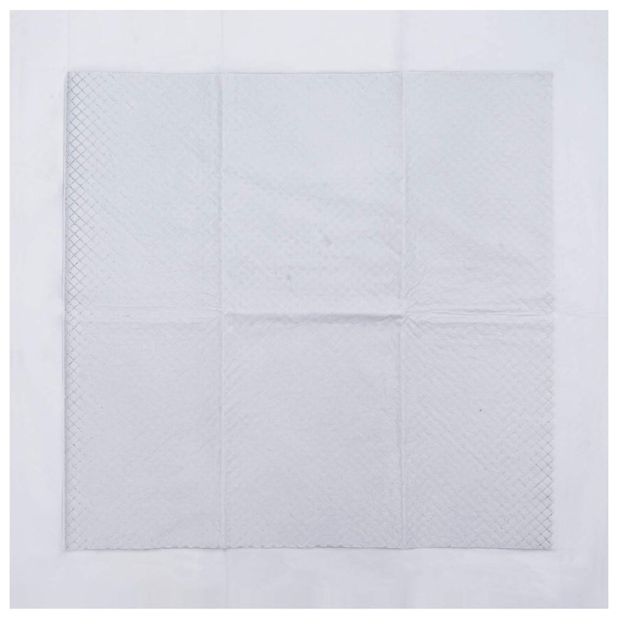 Trainingspad voor Huisdieren Effen 400 pcs 60 x 60 cm