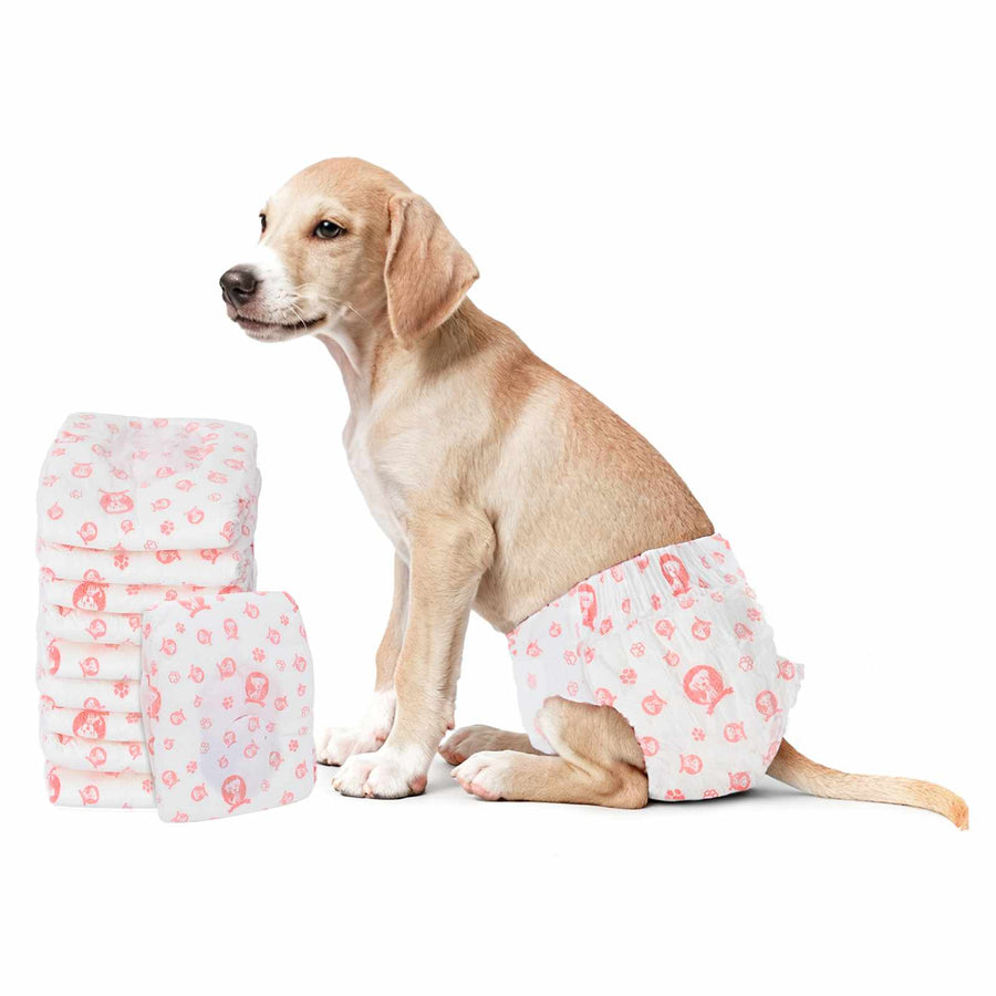 Wegwerpdoggyluier Voor Teefjes 30 Pcs Wit M Vrouwelijk-M