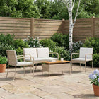 Garden set with cushion steel