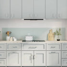 Keuken spatbord 2 stuks wit 100x40 cm gehard glas