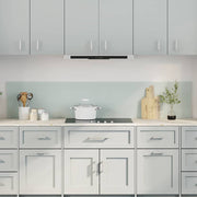 Keuken spatbord 2 stuks wit 100x40 cm gehard glas