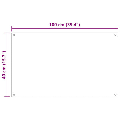 Keuken Achterwand 2 pcs Doorzichtig 100 x 40 cm gehard glas