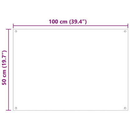 Keuken Achterwand 2 pcs Doorzichtig 100 x 50 cm gehard glas