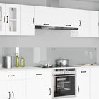 Keuken spatbescherming 2x 120x40 cm gehard glas