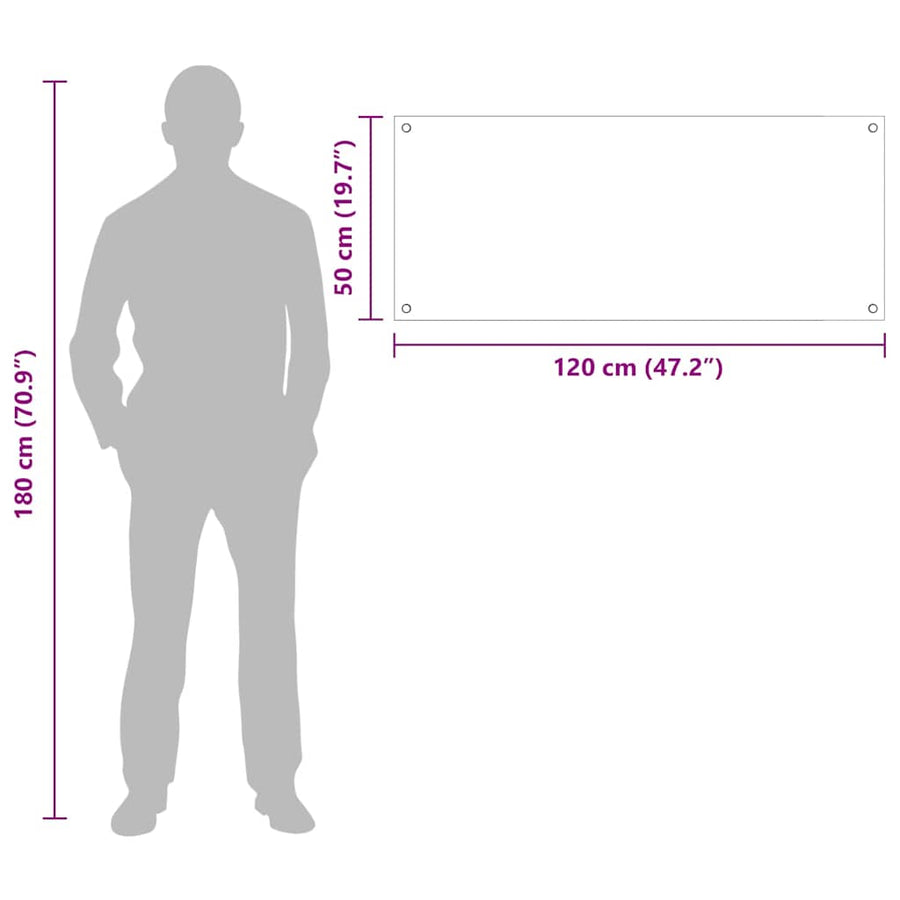 Keuken Achterwand 2 pcs Doorzichtig 120 x 50 cm gehard glas