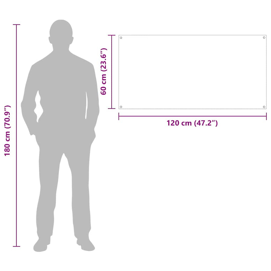 Keuken Achterwand 2 pcs Doorzichtig 120 x 60 cm gehard glas