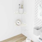 Floating Shelf with Storage 2 pcs White 15 x 15 x 2 cm