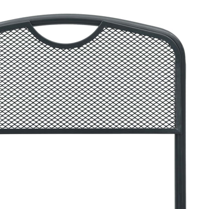 Tuinstoelen 2 pcs Antraciet 52,5 x 46 x 82 cm IJzer