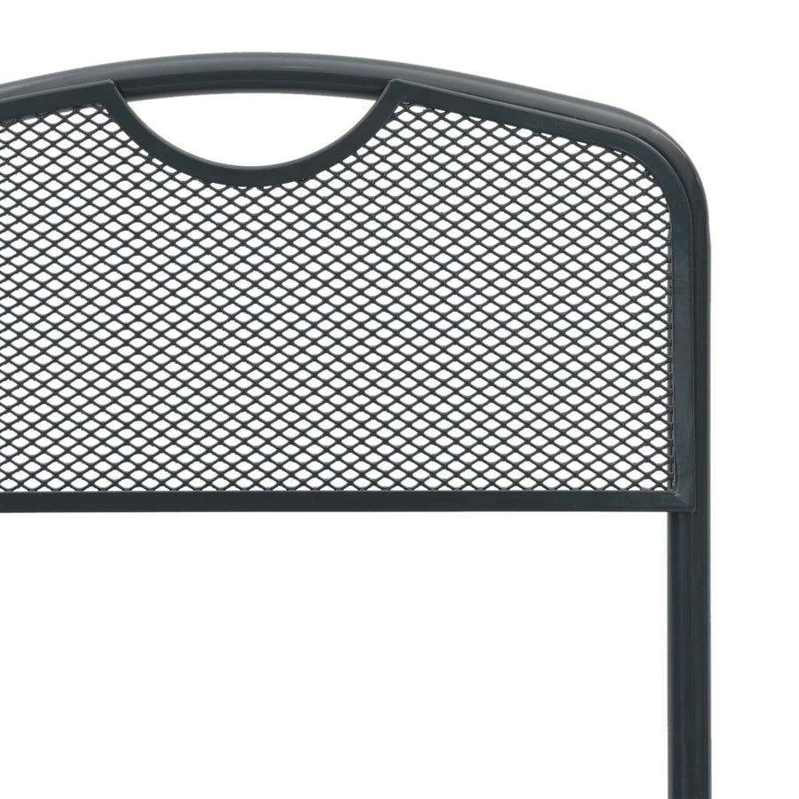 Tuinstoelen 2 pcs Antraciet 52,5 x 46 x 82 cm IJzer