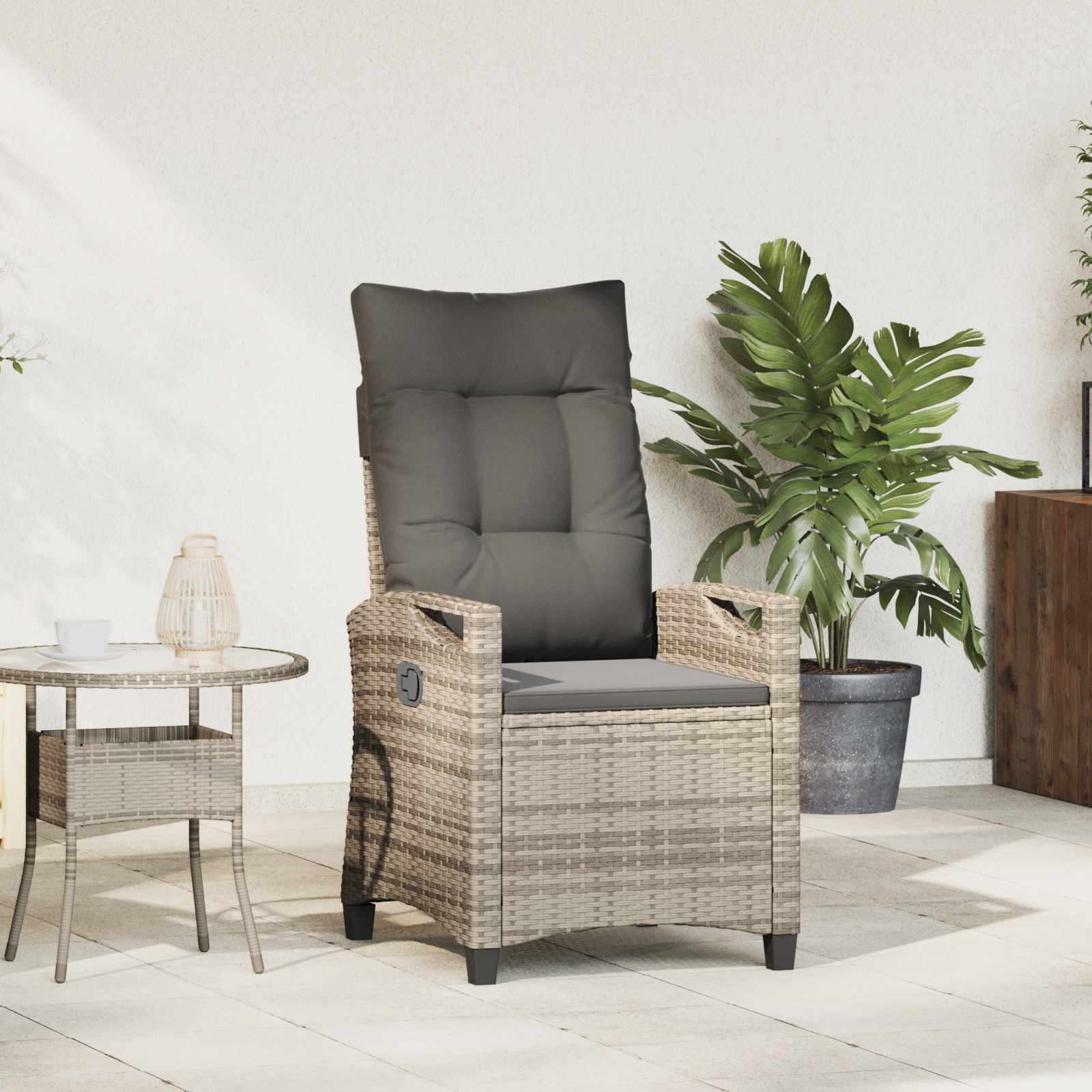 Recliner Tuinstoelen 56 x 60 x 112 cm staal