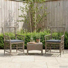 Tuinstoelen set 2 stuks grijs PE rattan staal