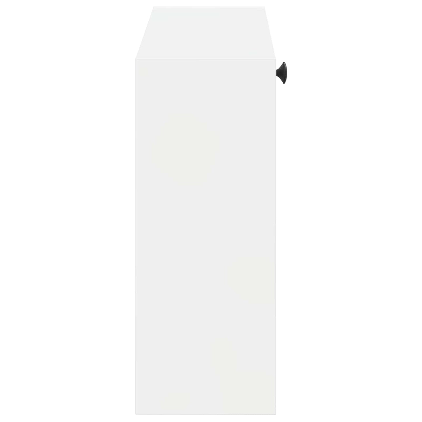 Wandgemonteerde Schoenkast EDE 71 x 17 x 43 cm Bewerkt hout