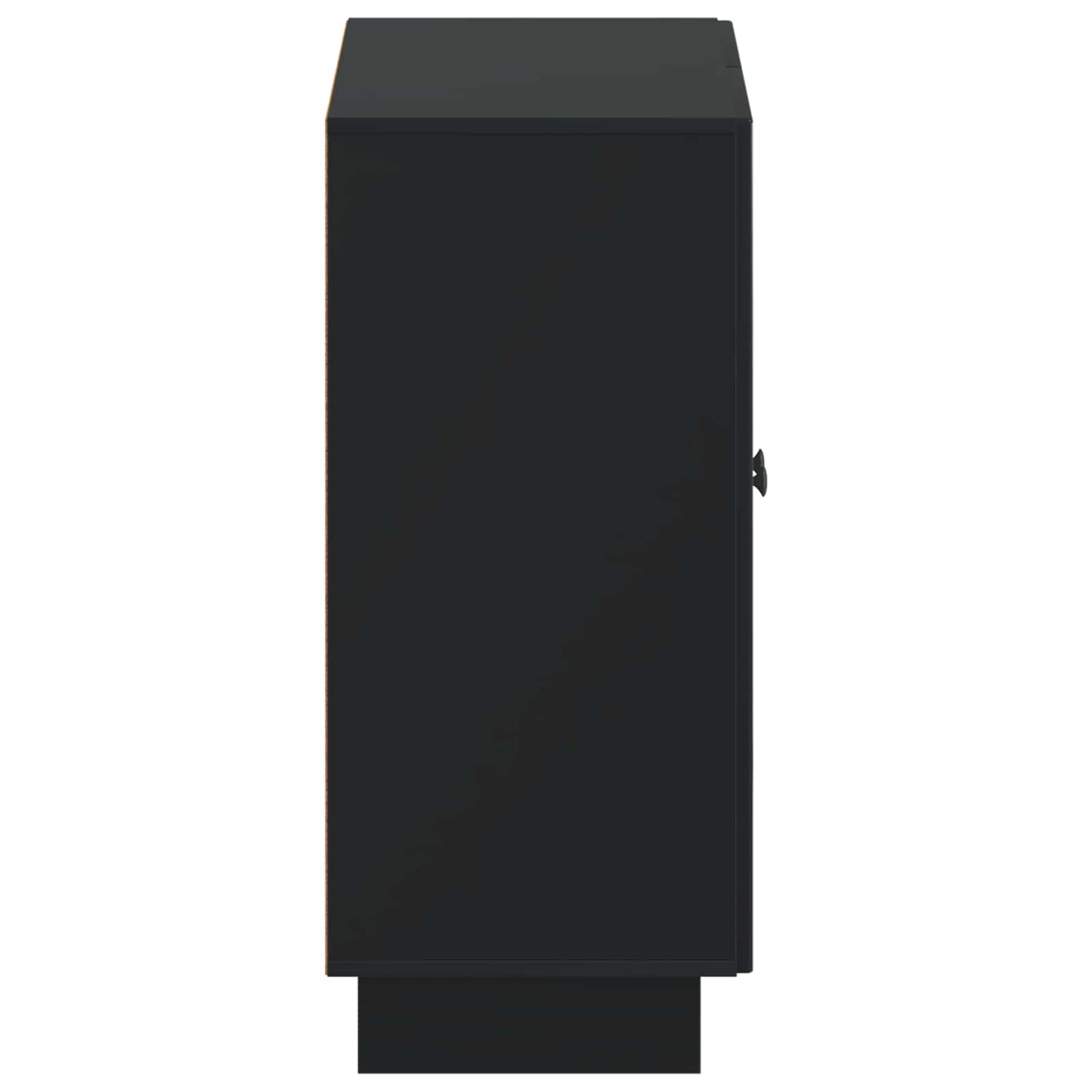 Schoenenkast EDE 59,5 x 39,5 x 90 cm Bewerkt hout Zwart