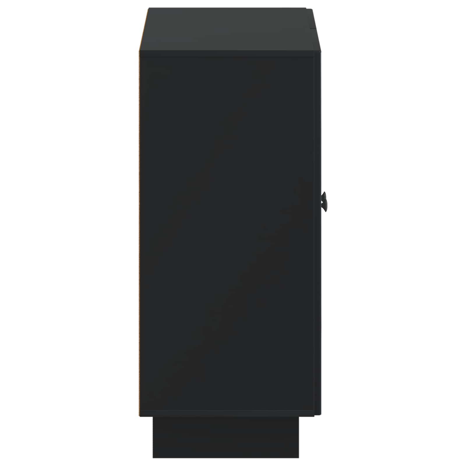 Schoenenkast EDE 59,5 x 39,5 x 90 cm Bewerkt hout Zwart